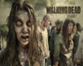 The Walking Dead 2ª Temporada Completa por Torrent